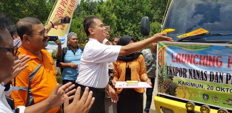 Era Mentan Amran, Nanas dan Pisang Asal Karimun Diekspor ke Singapura