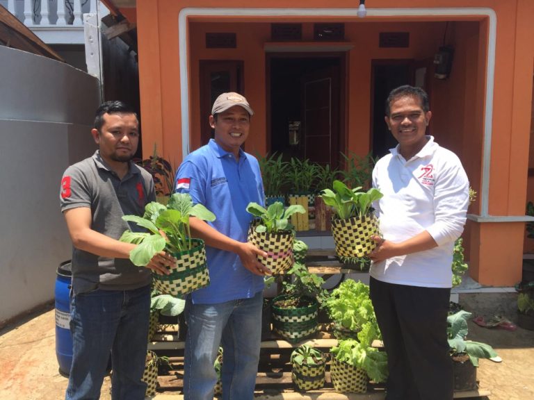 Kementan Dorong Swasembada Sayuran dari Pekarangan