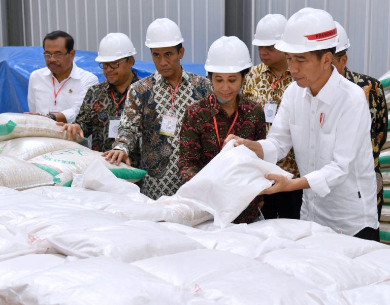 Metode KSA BPS Langkah Tepat Membuktikan Tidak Perlu Impor Beras