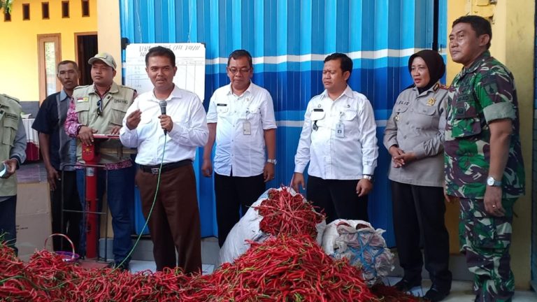 Kementan Launching Pasar Lelang Cabai Tuban