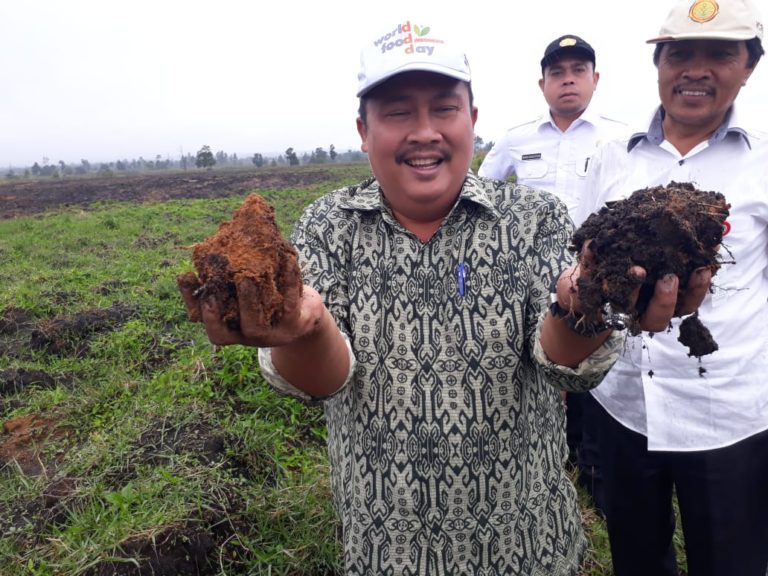 Kementan bangun Humbang Hasundutan lumbung baru Bawang Putih