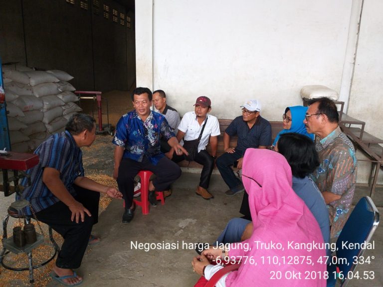 Bupati Kendal Akui Produksi Jagung Surplus