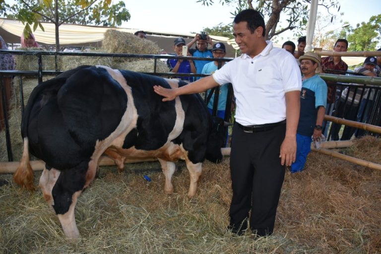 Menteri Pertanian: Upsus SIWAB Berhasil Tingkatkan Populasi Sapi, Kualitas dan Kesejahteraan Petani