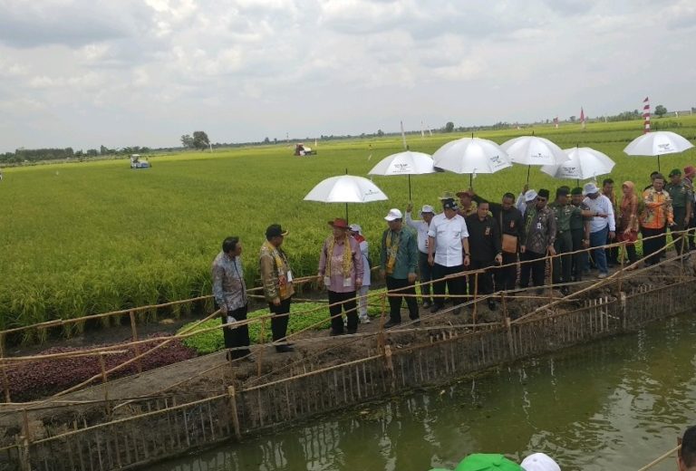 Semangat Barito Kuala Harus Ditularkan ke Daerah Lain