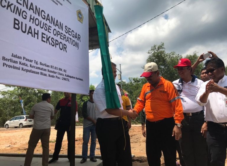 Pemda Karimun Gandeng Kementan Ekspor Nanas Kundur ke Singapura