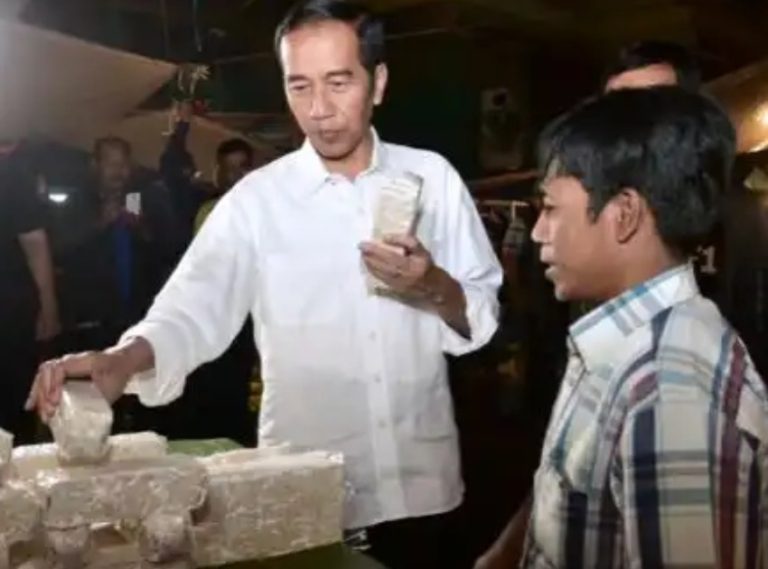 Blusukan ke Pasar, Jokowi Ingin Buktikan Harga Sembako Stabil
