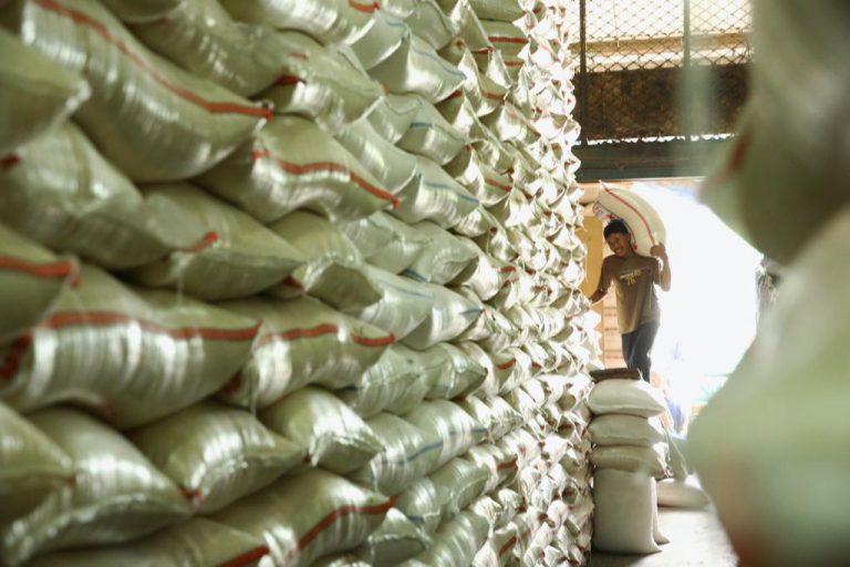 Akademisi UI: Siapa Bilang Menipis, Stok Beras Nasional Justru Melimpah