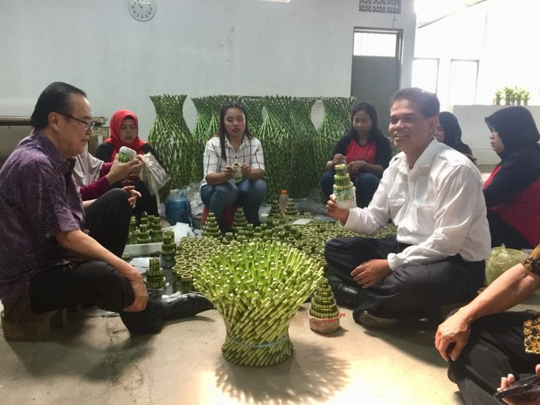 Pacu Ekspor Tanaman Hias, Kementan dorong Budidaya Bambu Suji dan Lidah Mertua