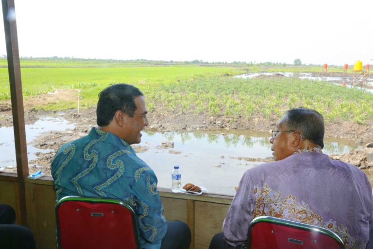 Menko Darmin Apresiasi Langkah Cerdas Mentan Kelola Rawa