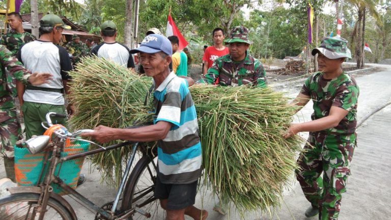 Tanpa Disuruh Terlihat Anggota Satgas Bantu Warga Angkut Pakan Ternak