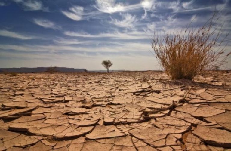 Kurangi Global Warming, Ini yang Harus Dilakukan