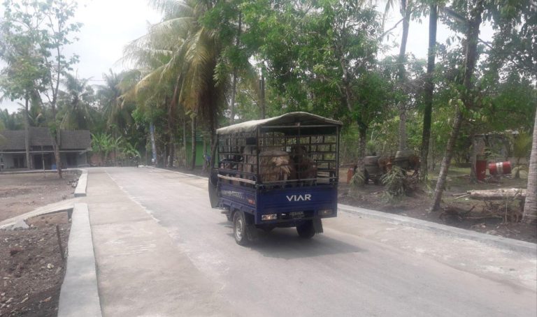 Pedagang Kambing Dari Dusun Temuwuh Rasakan Dampak Langsung Pembangunan Dari Satgas TMMD