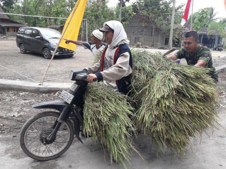 Pak Sukardi Ucapakan Rasa Terima Kasih Pada Satgas TMMD Yang Telah Bantu Dirinya