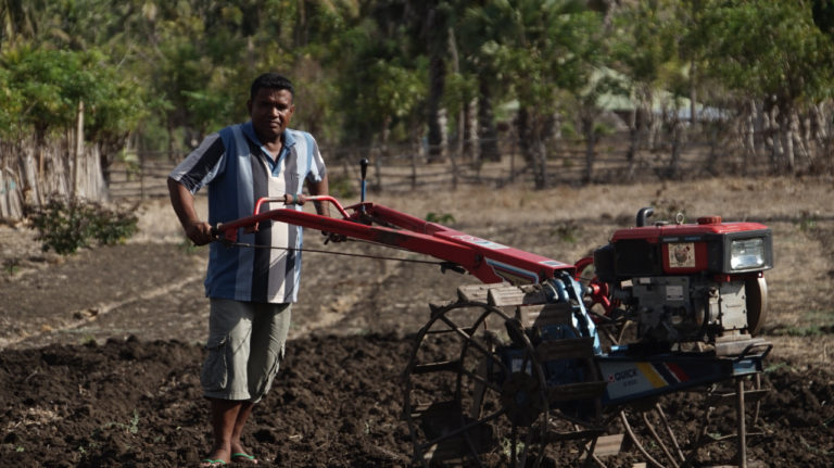 Panen Petani Bawang Sabu Raijua NTT Naik 6 Kali Lipat Berkat BBM Satu Harga