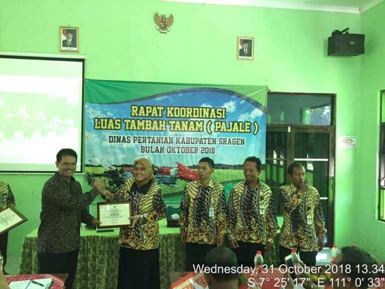 Sragen Raih Peringkat Kedua Peningkatan Luas Tanam Padi