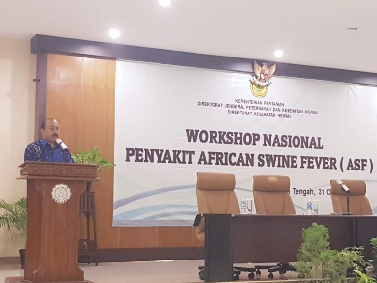 Pemerintah Waspadai Penyebaran Penyakit African Swine Fever