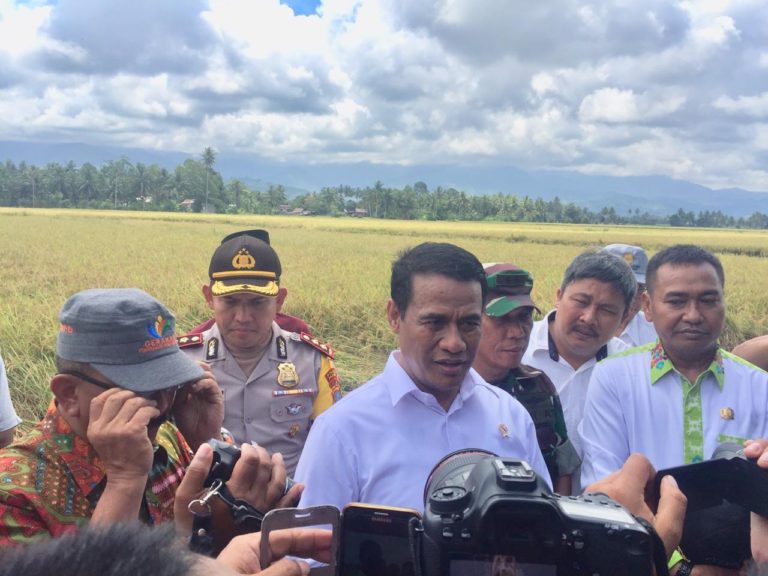 Mentan Amran Panen Raya Padi di Parigi Moutong Sulteng