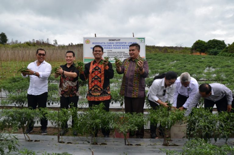 Kementan Dukung Peningkatan Produksi Cabai di Kepulauan Riau