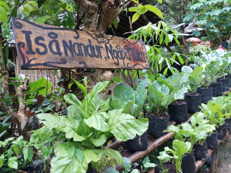 Kementan Dukung Pencapaian Zero Hunger Melalui KRPL