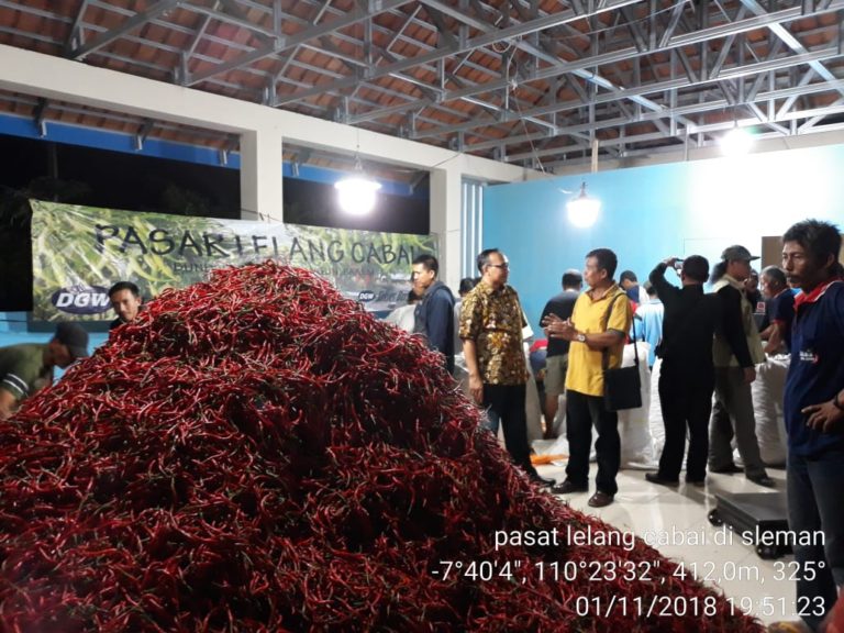 Konsolidasi Petani Champion Amankan Pasokan Cabai Natal dan Tahun Baru