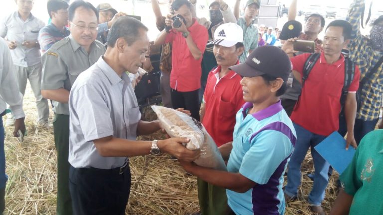 Kementan Bangun Kawasan Mandiri Pangan