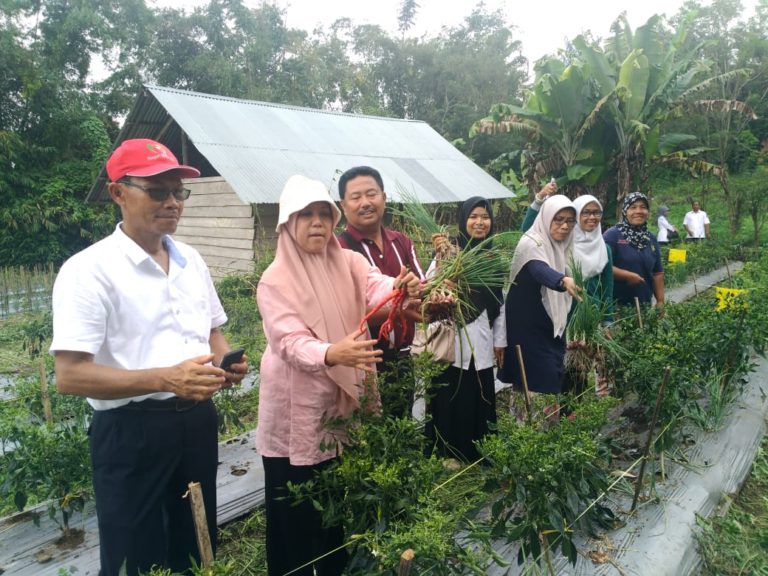 Kementan Dukung Budidaya Organik di Ranah Minang