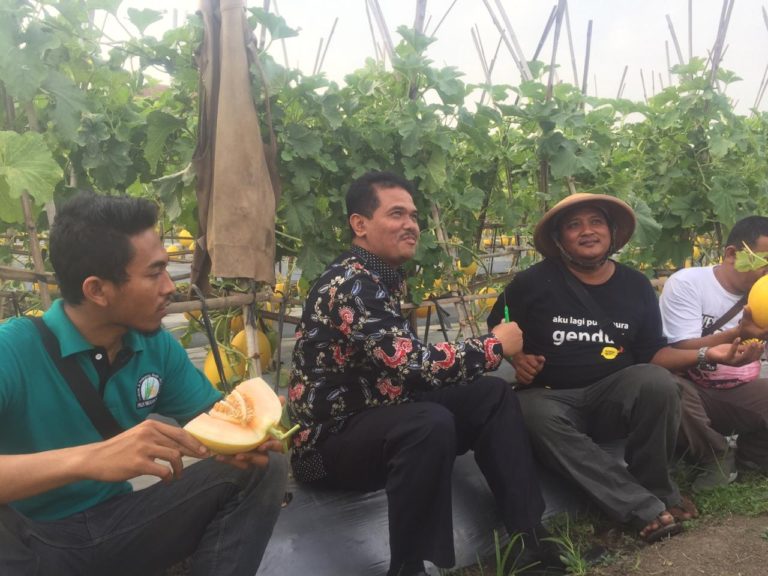 Petani Muda Didorong Kembangkan Hortikultura di Pinggir Bandara Soetta