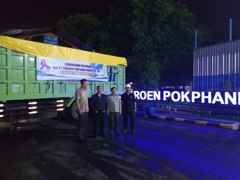 Gaet Bulog dan Pelaku Industri Pakan, Kementan Salurkan Bantuan Jagung untuk Peternak