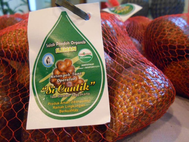 Indonesia Berpeluang Sebagai Penghasil Produk Organik Terbesar di Dunia