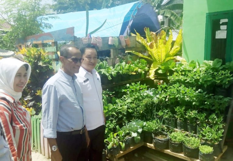 KRPL Kementan Mampu Suplai Sayuran ke Hotel dan Rumah Makan