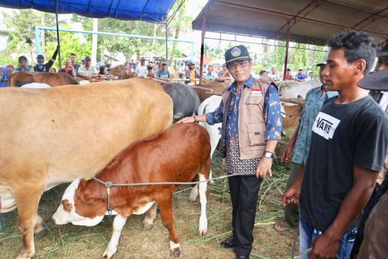 Kelahiran Pedet Meningkat, Kementan: Bukti UPSUS SIWAB Berhasil