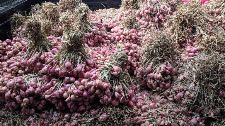 Memasuki Desember-Januari 2019, Stok Bawang Merah dipastikan Surplus