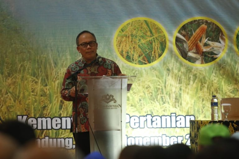 Tahun 2019, Kementan siapkan Dana Alokasi Khusus 1,9 Triliun