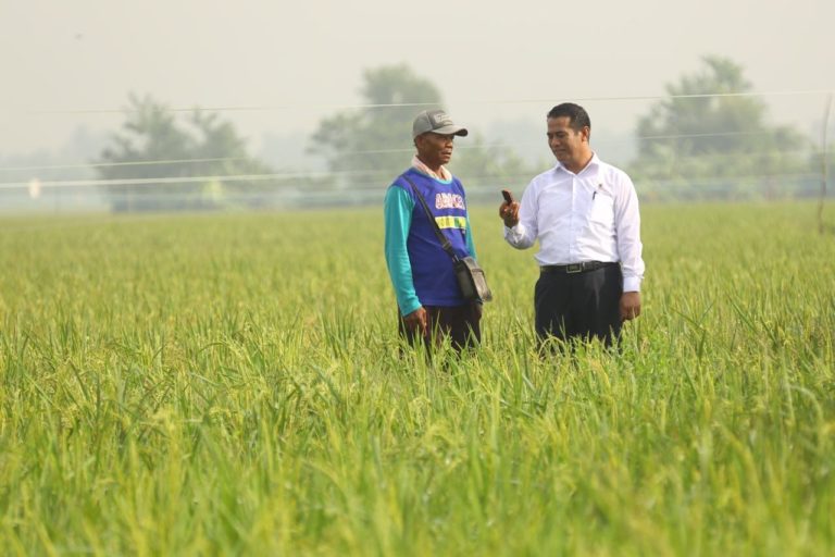 Komitemen Mentan Perang Melawan Mafia Model Baru Pembangunan