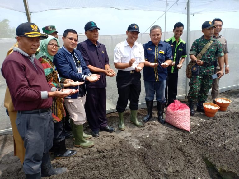 Kementan Dorong Nganjuk Penyangga Bawang Merah Nasional
