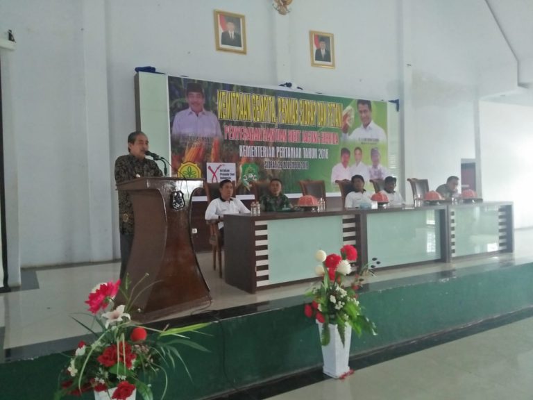 Bantuan Tiba tepat Waktu Tanam, Petani sidrap Bergembira