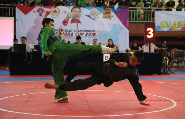 Dorong Pencak Silat masuk Olimpiade, Menpora ajak manfaatkan Media Sosial