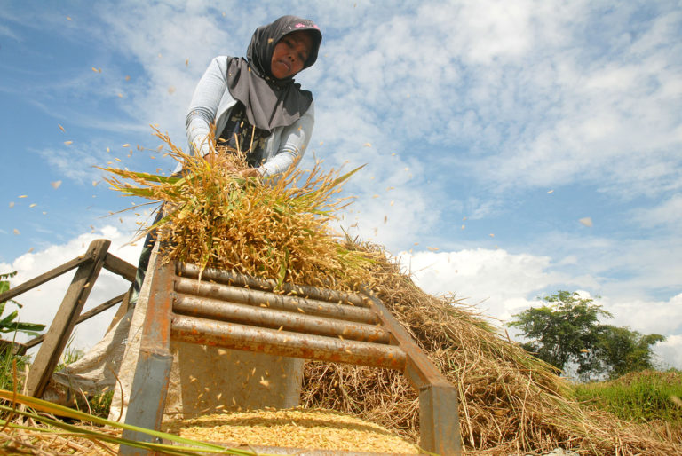 Pengamat: Covid-19 tidak Akan Berpengaruh Pada Stok Pangan Nasional