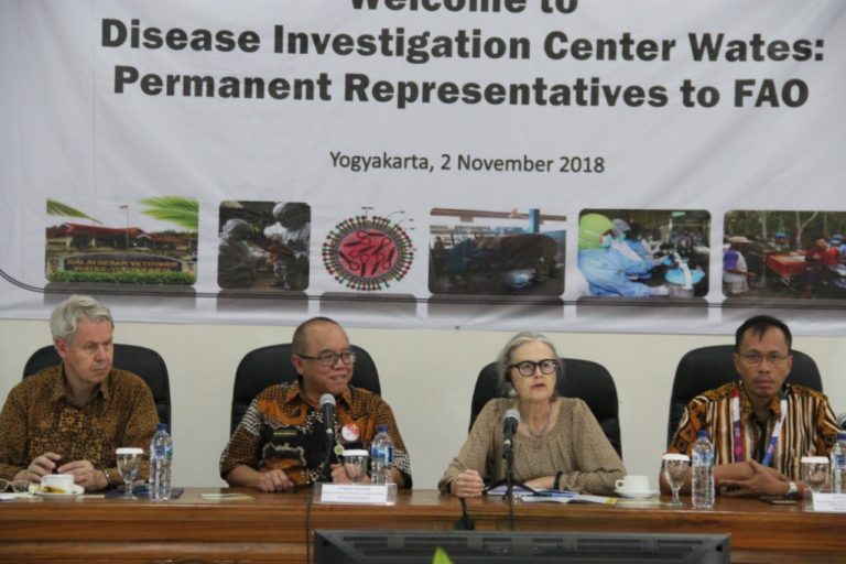 FAO apresiasi jejaring monitoring Virus Flu Burung yang dikembangkan Kementan