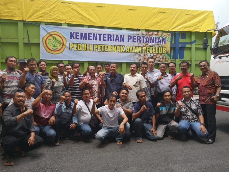 Peternak Rakyat Apresiasi Gerak Cepat Kementan Fasilitasi Distribusi Jagung ke Berbagai Sentra Ayam