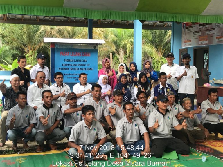 Beroperasi, Pasar Lelang Hortikultura di OKI Diharap Sejahterakan Petani