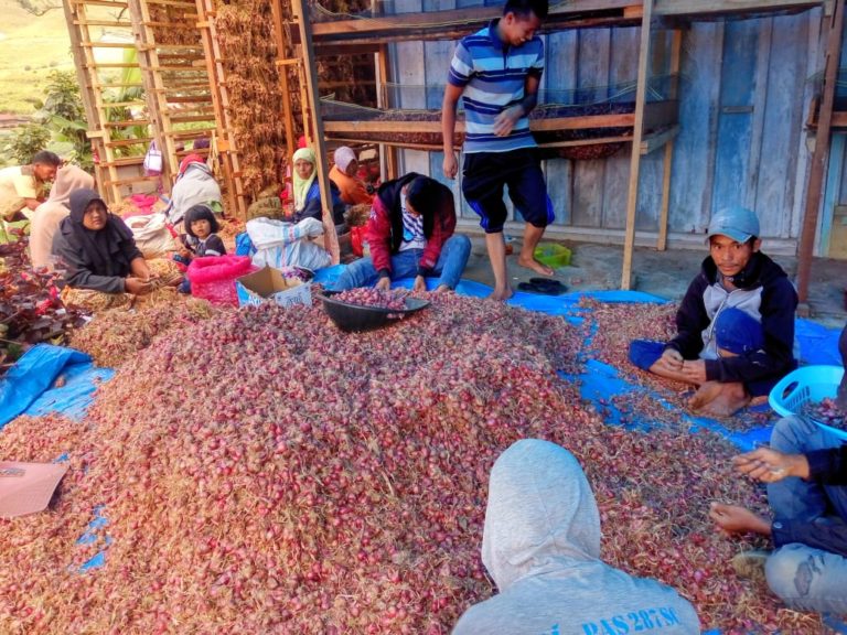 Kementan Bersama Dinas Pertanian Tata kembali Pola Produksi Aneka Cabai dan Bawang Meraah 2019