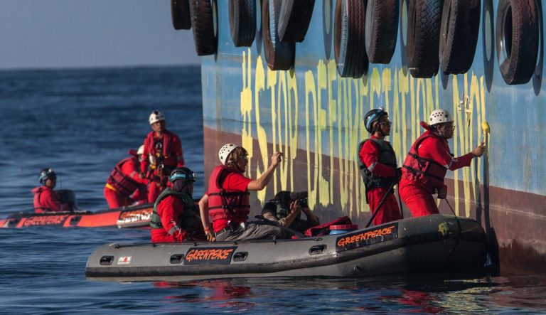 Duduki Kapal Sawit, REPNAS Jokowi Minta Pemerintah Usir Greenpeace