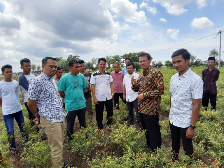 Komoditas Hortikultura dorong gairah Pemuda Takalar menjadi Petani