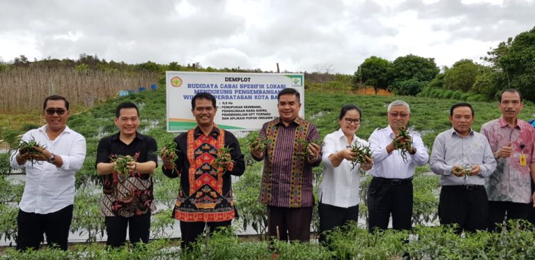 Natal dan Tahun Baru, Pasokan dan Harga Cabai Pedas Aman