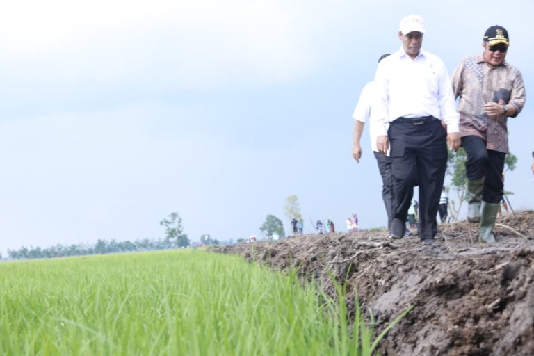 Empat Tahun Pembangunan Pertanian, Kementan: Kerja Kita buat Prestasi Bangsa
