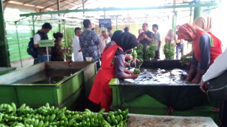 Kementan Dorong Tanggamus bangun Kemitraan Hortikultura berbasis Korporasi