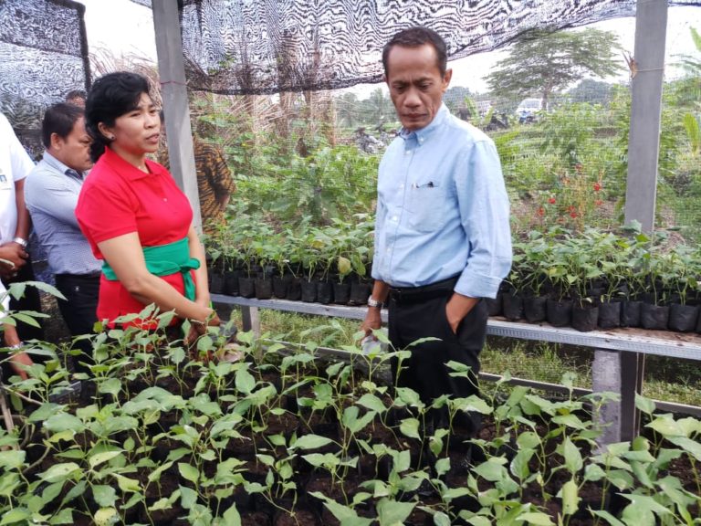 Upaya Kementan Tekan Angka Stunting di Indonesia