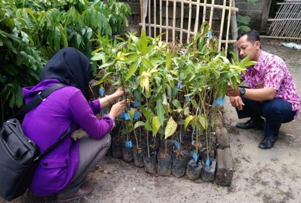 Pemasyarakatan Benih di Kota Kediri dan Kabupaten Blitar
