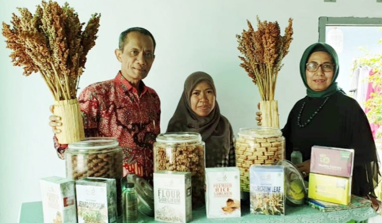 Kapala BKP Kementan Kunjungi Korporasi Petani Sorghum di Mataram